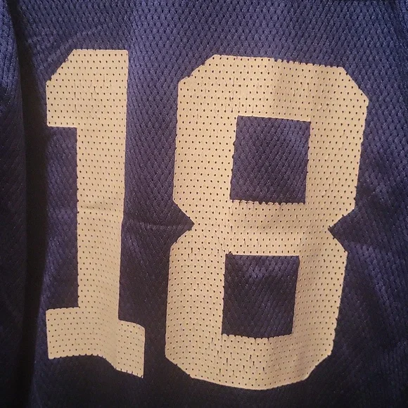 Peyton Manning #18 Reebok NFL Equipment On Field Jersey - Picture 5 of 8